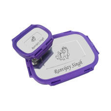 Personalized Stainless Steel Lunch Box Set with Name Kids Tiffin Box with Small Container